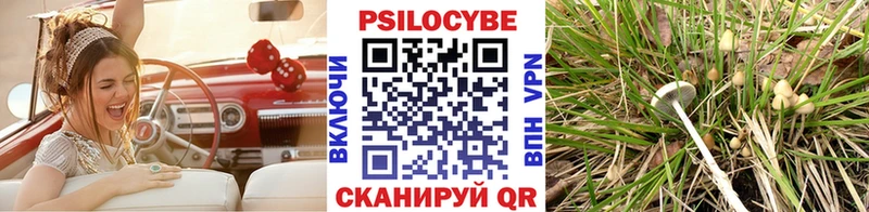 дарк нет Telegram  Ялуторовск  Псилоцибиновые грибы GOLDEN TEACHER 